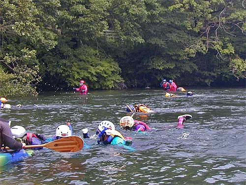 河童の川流れ