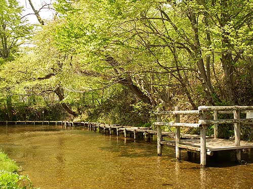 内別川湧水