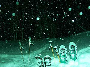 しんしんと降り続ける雪
