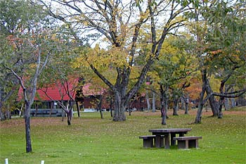 長万部公園キャンプ場